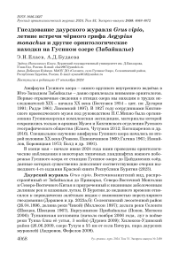 Гнездование даурского журавля Grus vipio, летние встречи чёрного грифа Aegypius monachus и другие орнитологические находки на Гусином озере (Забайкалье)