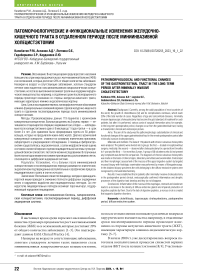 Патоморфологические и функциональные изменения желудочно-кишечного тракта в отдаленном периоде после миниинвазивной холецистэктомии