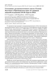 Состояние дальневосточного аиста Ciconia boyciana в Приморском крае по данным авиаобследования 28-30 апреля 2018