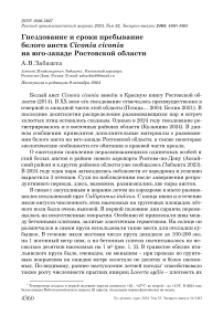 Гнездование и сроки пребывание белого аиста Ciconia ciconia на юго-западе Ростовской области