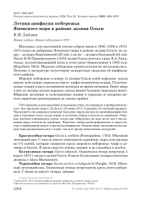 Летняя авифауна побережья Японского моря в районе залива Ольги