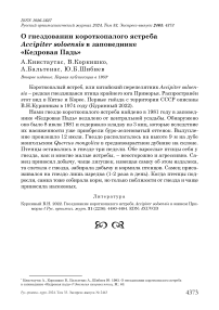 О гнездовании короткопалого ястреба Accipiter soloensis в заповеднике "Кедровая падь"