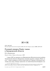 Розовый скворец Pastor roseus в Запорожской области