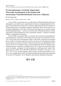 О гнездовании степной тиркушки Glareola nordmanni и белохвостой пигалицы Vanellochettusia leucura в Крыму