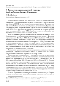 О биологии длиннохвостой синицы Aegithalos caudatus в Приморье