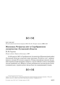 Московка Periparus ater в Серебрянском лесничестве Луганской области