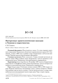 Интересные орнитологические находки в Тюмени и окрестностях