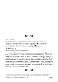 Новая колония белощёко крачки Chlidonias hybrida на Восточном Сиваше (Крым)