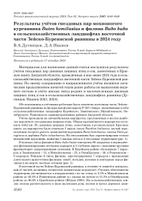 Результаты учётов гнездовых пар мохноногого курганника Buteo hemilasius и филина Bubo bubo в сельскохозяйственных ландшафтах восточной части Зейско-Буреинской равнины в 2024 году