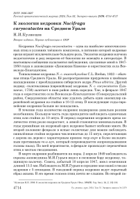 К экологии кедровки Nucifraga caryocatactes на Среднем Урале