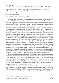 Проникновение в тундру животных таёжного и лесотундрового комплексов