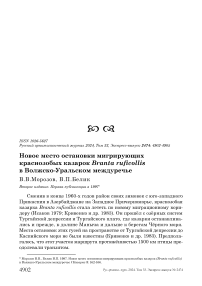 Новое место остановки мигрирующих краснозобых казарок Branta ruficollis в Волжско-Уральском междуречье