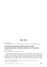 О распространении и биологии малого перепелятника Accipiter gularis на Сахалине