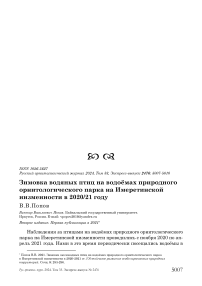 Зимовка водяных птиц на водоёмах природного орнитологического парка на Имеретинской низменности в 2020/21 году