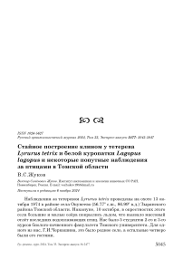 Стайное построение клином у тетерева Lyrurus tetrix и белой куропатки Lagopus lagopus и некоторые попутные наблюдения за птицами в Томской области