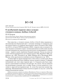 О необычной окраске яиц в кладке степного конька Anthus richardi