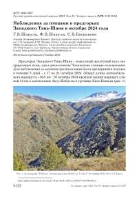 Наблюдения за птицами в предгорьях Западного Тянь-Шаня в октябре 2024 года