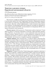 Заметки о редких птицах Еврейской автономной области