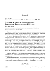 О массовом пролёте чёрного стрижа Apus apus в Казани весной 2024 года