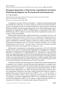 Распространение и биология серощёкой поганки Podiceps grisegena на Колымской низменности