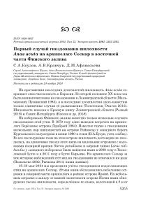 Первый случай гнездования шилохвости Anas acuta на архипелаге Сескар в восточной части Финского залива