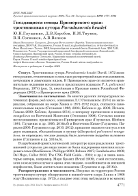 Гнездящиеся птицы Приморского края: тростниковая сутора Paradoxornis heudei