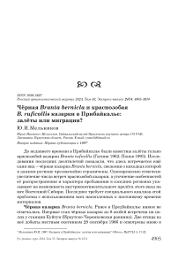 Чёрная Branta bernicla и краснозобая B. ruficollis казарки в Прибайкалье: залёты или миграции?