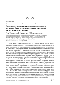 Первая регистрация размножения серого журавля Grus grus на островах восточной части Финского залива