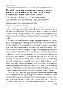 Первый случай гнездования красноголового нырка Aythya ferina на архипелаге Сескар в восточной части Финского залива