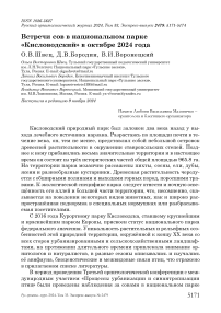 Встречи сов в национальном парке «Кисловодский» в октябре 2024 года