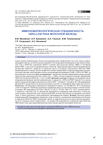 Иммуноморфологическая специфичность HER2-low рака молочной железы