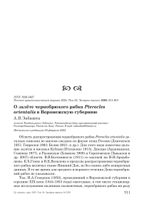 О залёте чернобрюхого рябка Pterocles orientalis в Воронежскую губернию