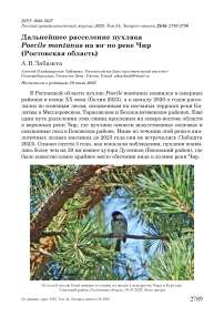 Дальнейшее расселение пухляка Poecile montanus на юг по реке Чир (Ростовская область)