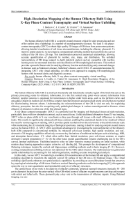 High-Resolution Mapping of the Human Olfactory Bulb Using X-Ray Phase Contrast Tomography and Virtual Surface Unfolding