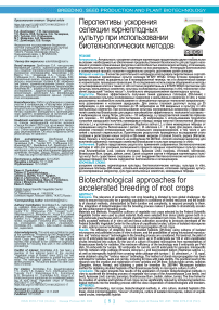 Перспективы ускорения селекции корнеплодных культур при использовании биотехнологических методов