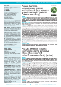 Анализ факторов, индуцирующих переход к генеративной фазе развития у представителей семейства Brassicaceae (обзор)