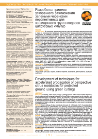 Разработка приемов ускоренного размножения зелеными черенками перспективных для защищенного грунта подвоев цитрусовых культур