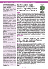 Влияние разных видов фитопатогенных бактерий на ското- и фотоморфогенез проростков фасоли овощной