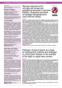 Факторы вирулентности патогена как основа для разработки методов и стратегий борьбы с болезнью растений на примере бактериального ожога яблони (обзор)