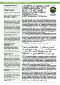 Оценка влияния водного режима на ростовые процессы семян сортов Oryza sativa subsp. japonica Kato для оптимизации выращивания риса по безгербицидной технологии