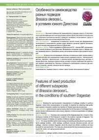 Особенности семеноводства разных подвидов Brassica oleracea L. в условиях Южного Дагестана