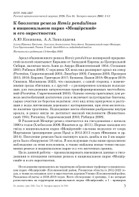 К биологии ремеза Remiz pendulinus в национальном парке «Мещёрский» и его окрестностях