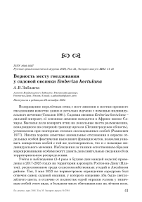 Верность месту гнездования у садовой овсянки Emberiza hortulana