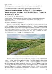 Особенности слогового репертуара песни камышовой овсянки Schoeniclus schoeniclus в пойме реки Илевны во Владимирской области в 2024-2025 годах