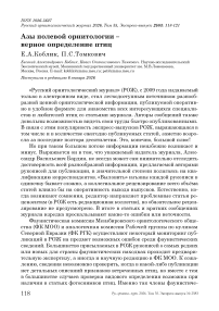 Азы полевой орнитологии – верное определение птиц