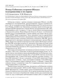 Птицы Елбанских островов Обского водохранилища и их охрана