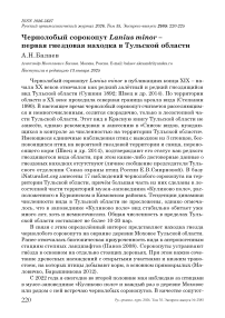 Чернолобый сорокопут Lanius minor – первая гнездовая находка в Тульской области