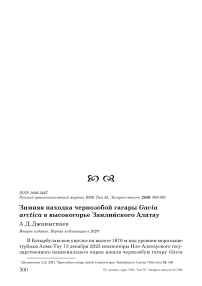 Зимняя находка чернозобой гагары Gavia arctica в высокогорье Заилийского Алатау