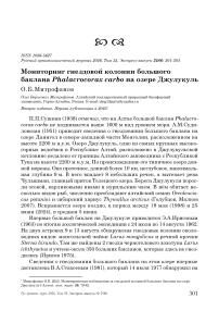 Мониторинг гнездовой колонии большого баклана Phalacrocorax carbo на озере Джулукуль