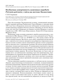 Необычная доверчивость каменных воробьёв Petronia petronia у гнёзд на востоке Казахстана